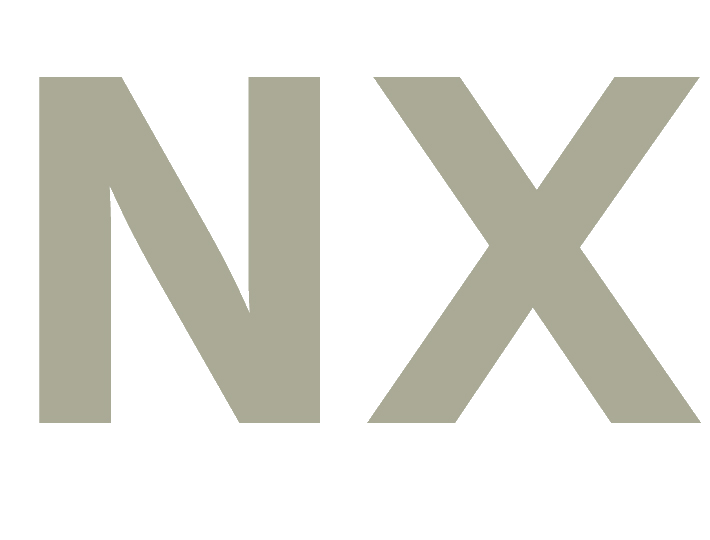 NX logo